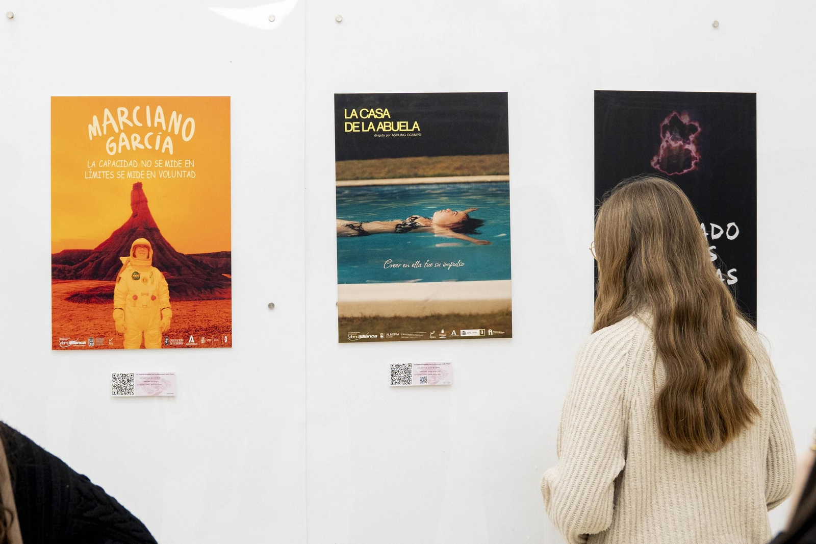 Las imágenes de la exposición "Carteles para un Gallo Pedro"