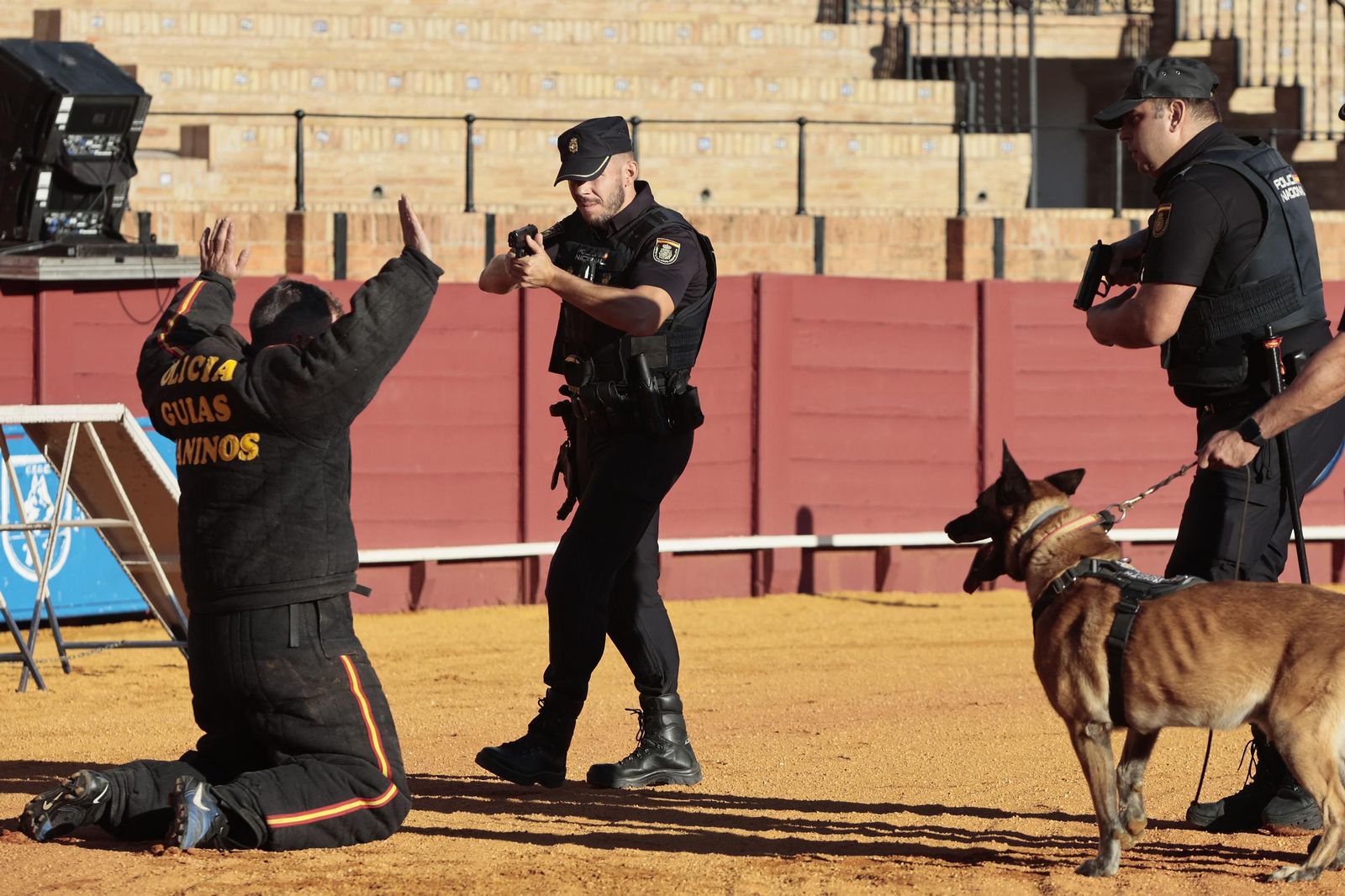 Las imágenes de la espectacular exhibición de la Policía Nacional en la Maestranza