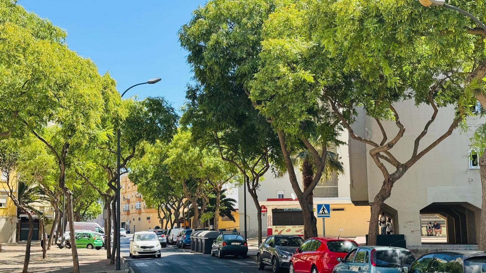 Aspecto actual de la avenida Duque de Arcos.