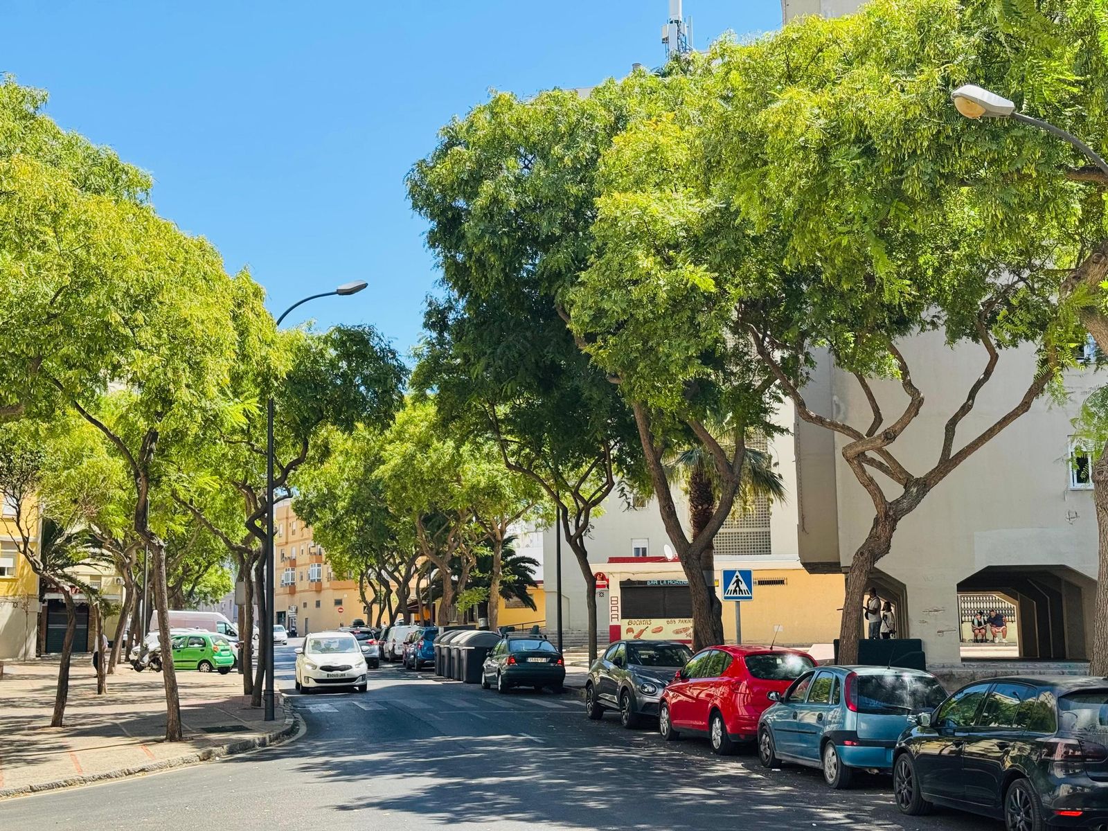 Aspecto actual de la avenida Duque de Arcos.