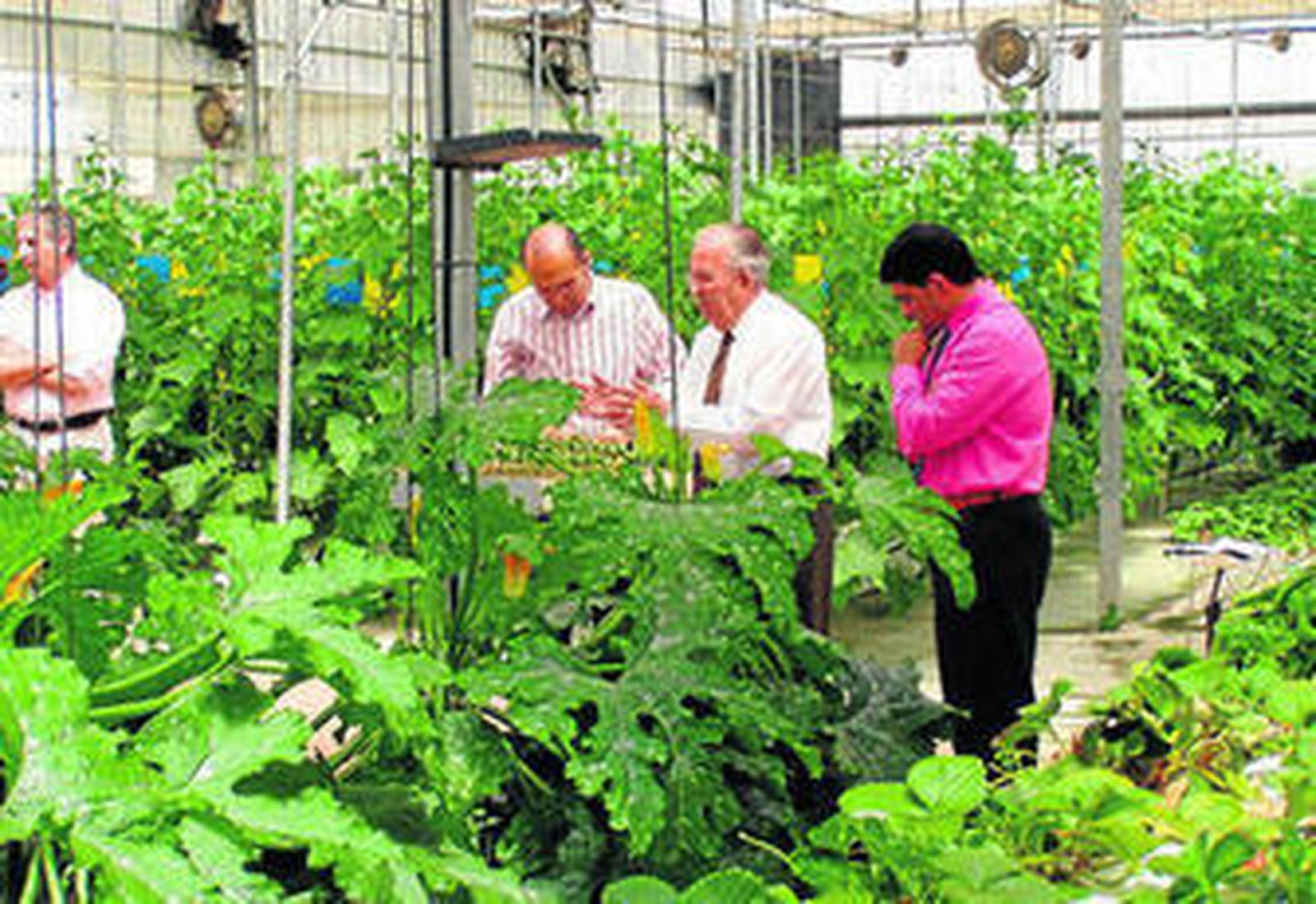 Primaflor, socia de Global GAP.