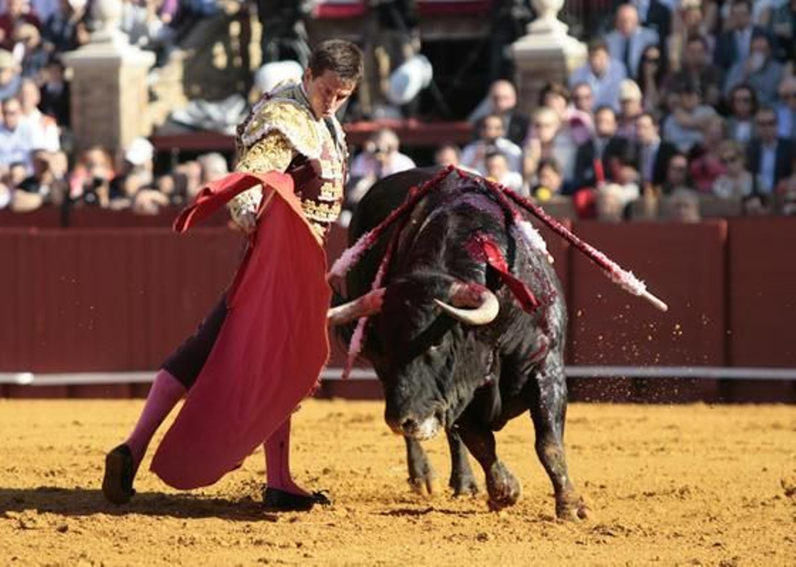 El Juli con el primero de la tarde en la treceava del abono de La Maestranza.

Foto: Juan Carlos Muñoz
