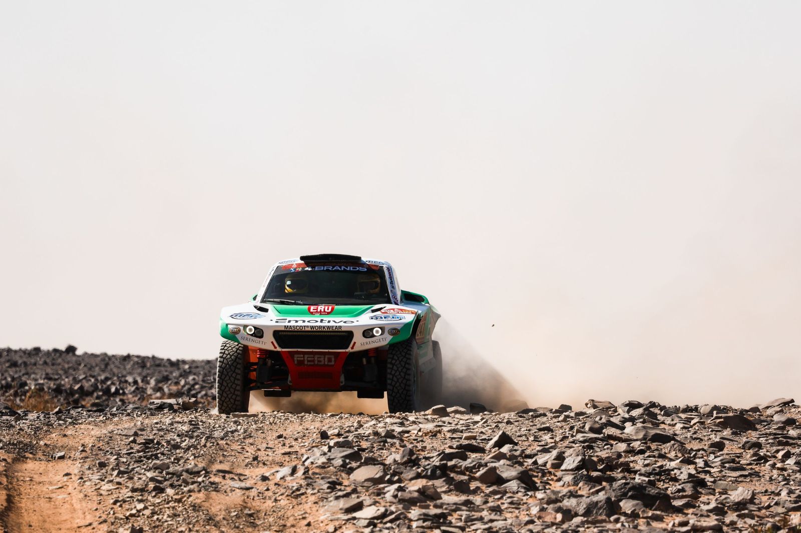 Las mejores fotos del Rally Dakar | Novena etapa