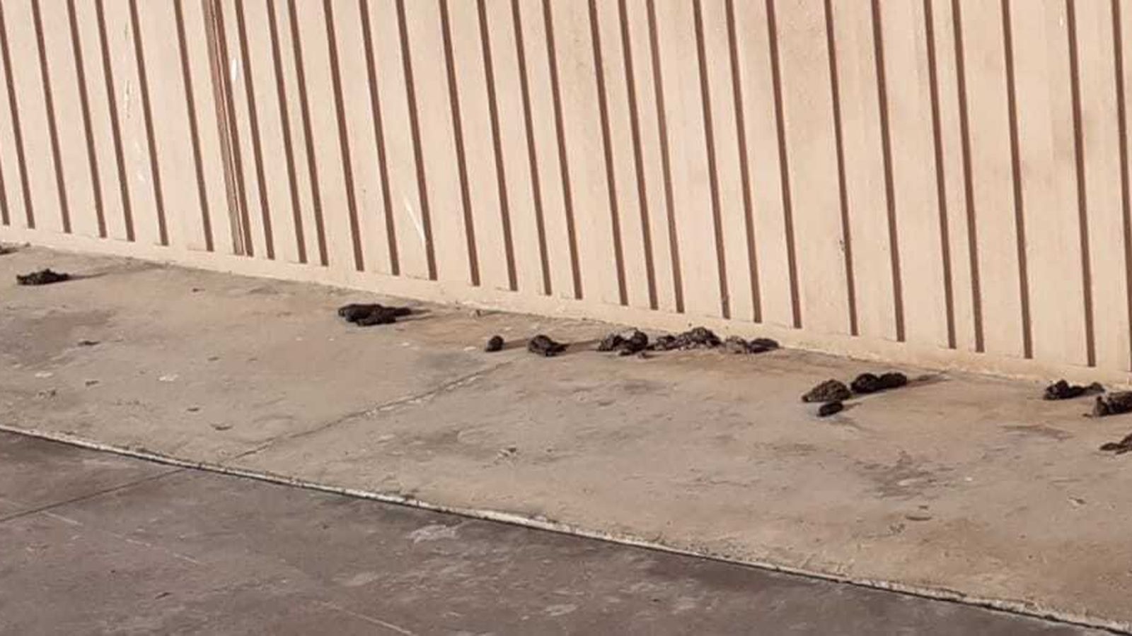 Heces junto a una valla del puerto deportivo.