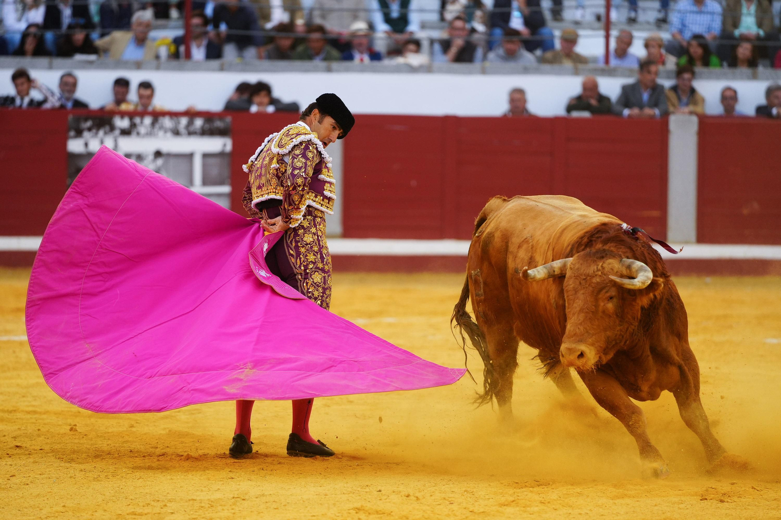 Las mejores imágenes de Manuel Morán, El Fandi y Daniel Luque en Pozoblanco