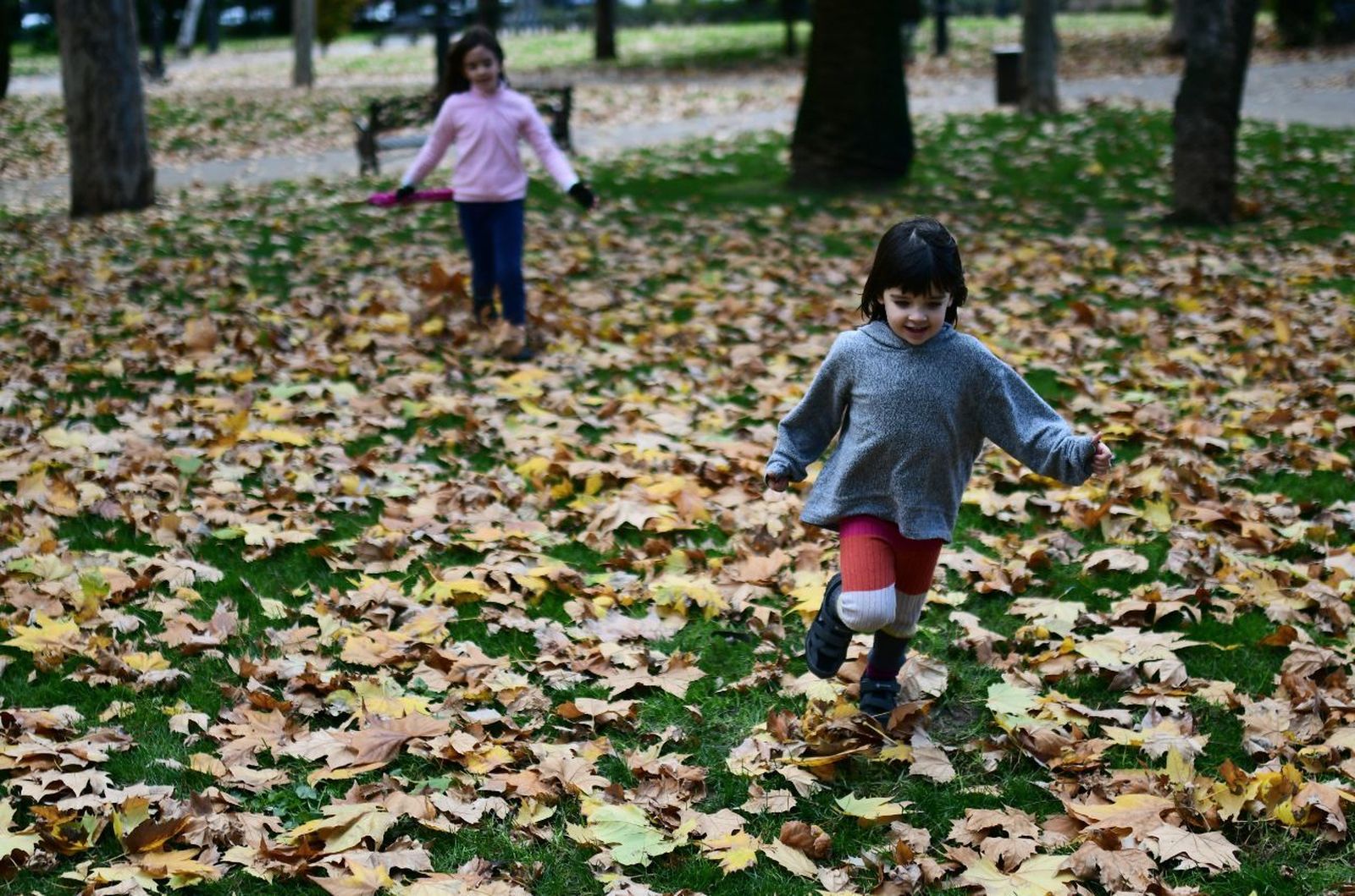 El rastro del otoño en Córdoba