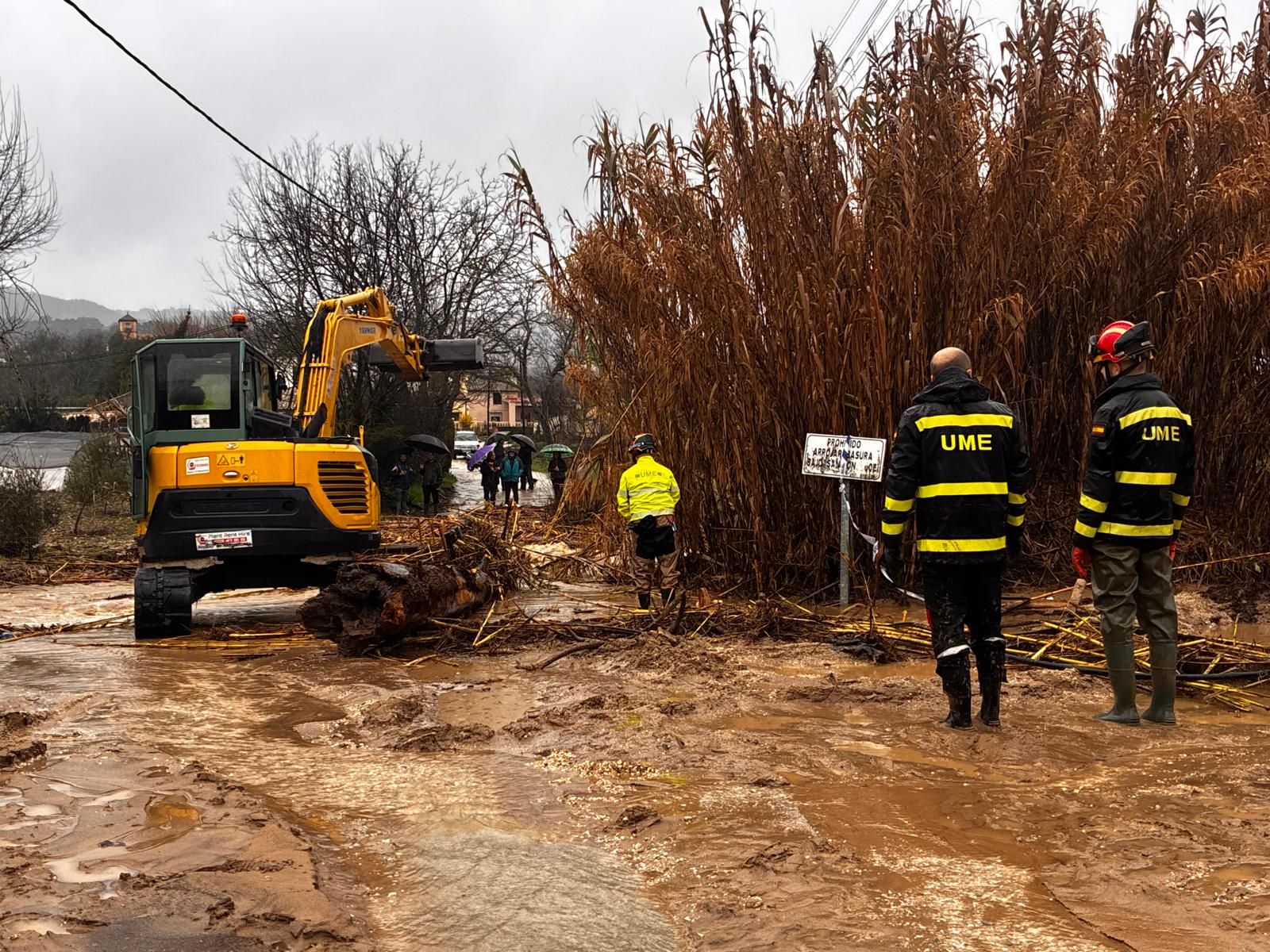 La UME ya trabaja en la Serranía de Ronda para despejar caminos