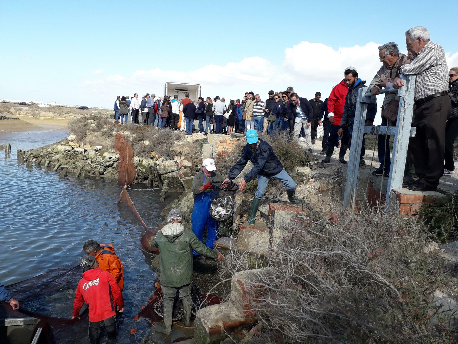 Despesque en Chiclana.