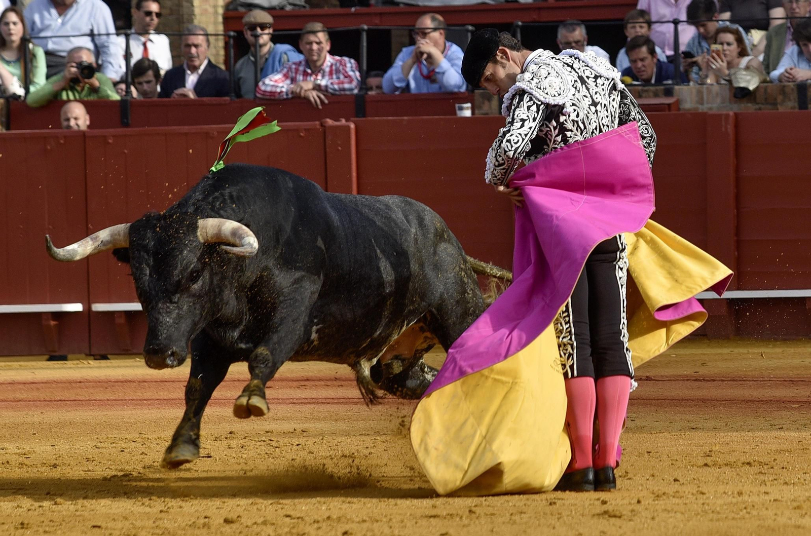Las imágenes de la 14ª de abono de la Maestranza