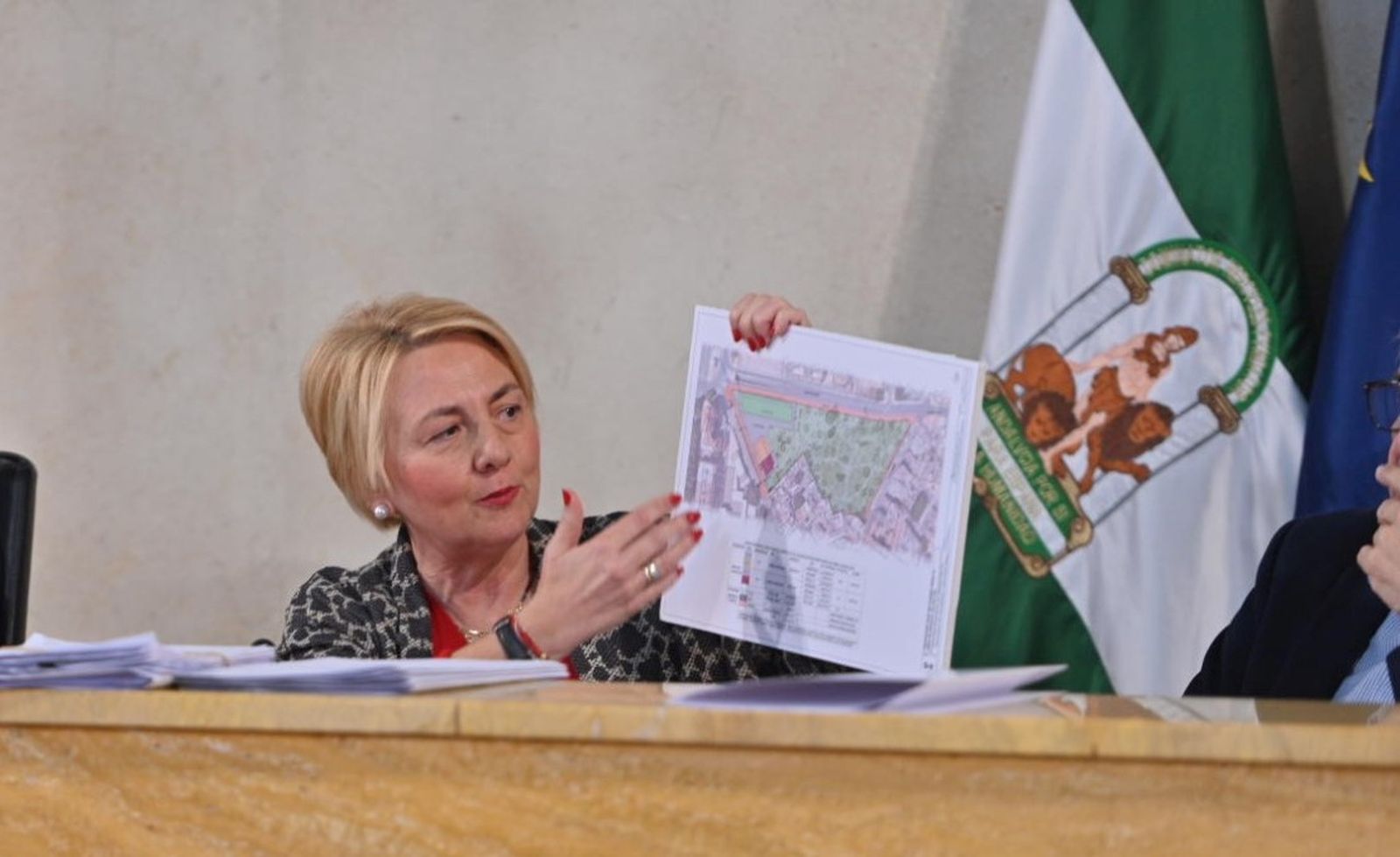 Cabrera muestra al Plenario el plano de El Diezmo con los espacios verdes y vivienda.