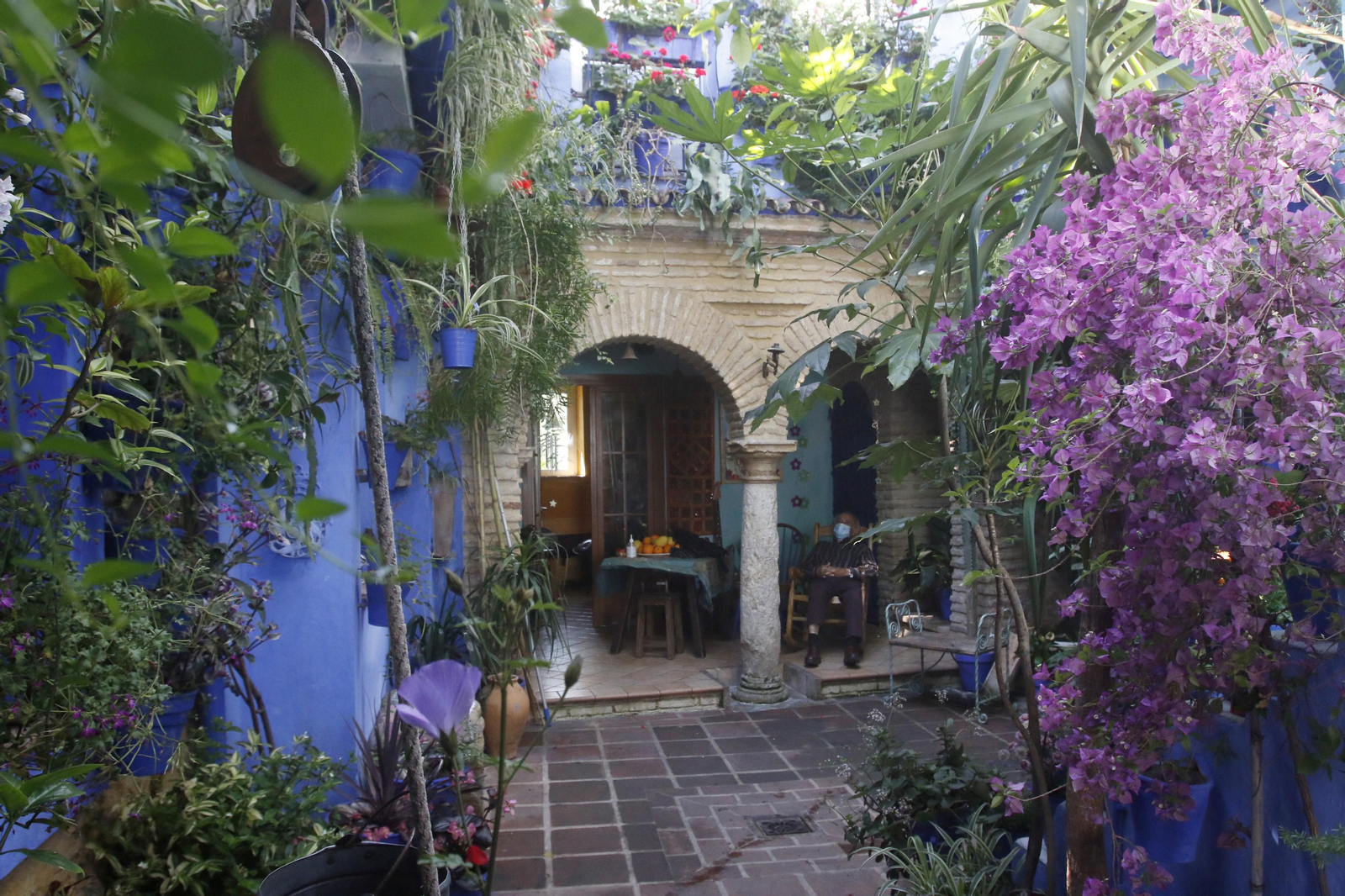 Ruta San Lorenzo de los Patios de Córdoba, en imágenes