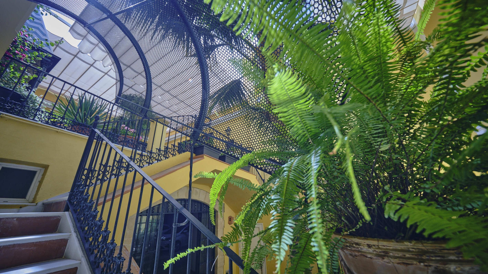 Fiesta de los patios 2023 de El Puerto