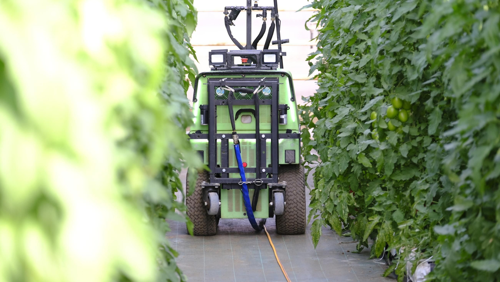 Jornada de puertas abiertas en la Estación Experimental Cajamar Las Palmerillas, en fotos