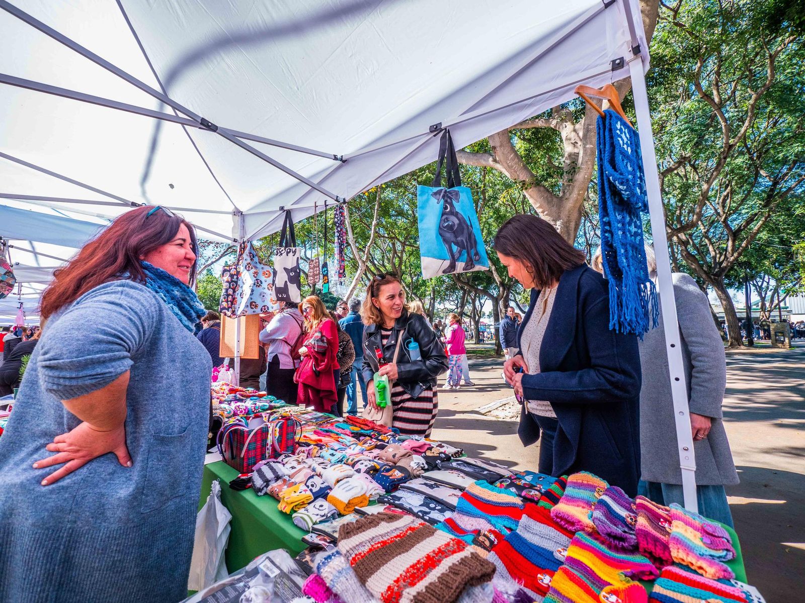 Las imágenes de San Antón 2025 en San Fernando