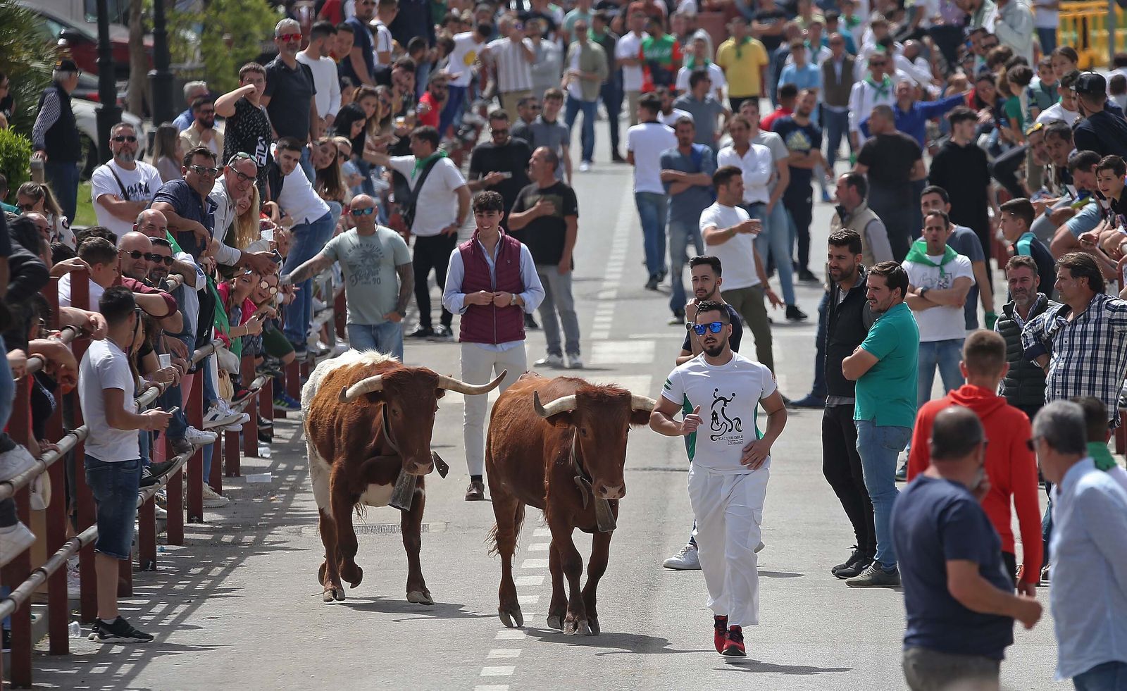 Fotos del Toro Embolao en Los Barrios
