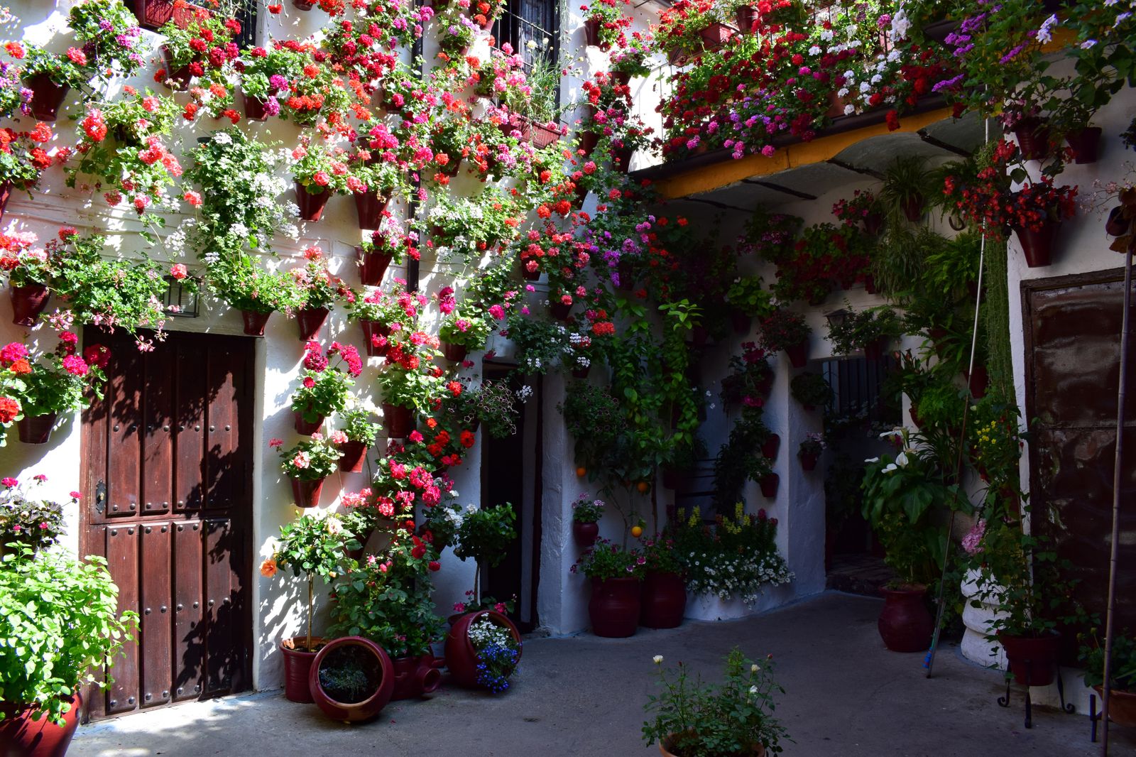 Ruta Alcázar Viejo: San Basilio 14