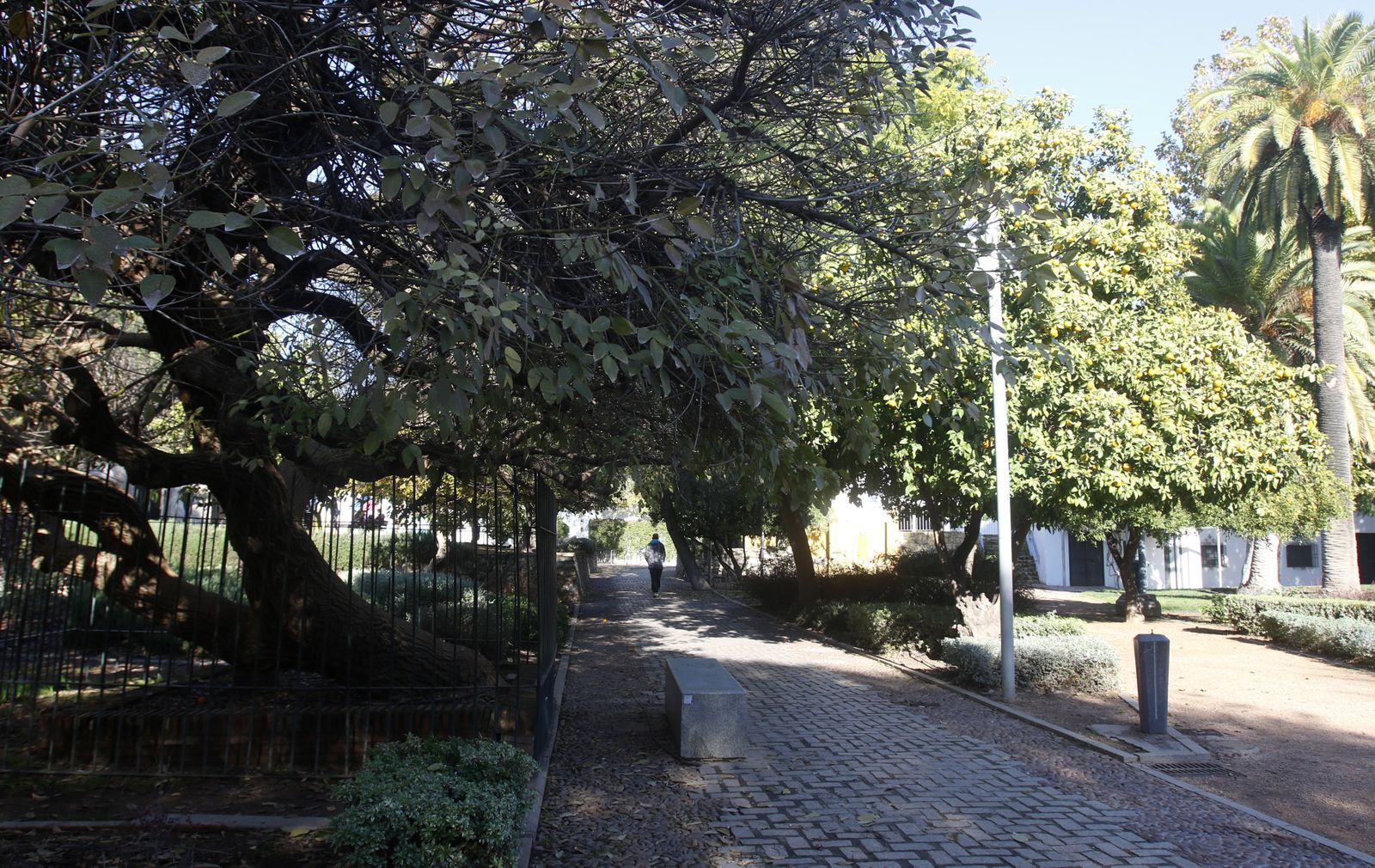 El otoño en Córdoba, en fotografías