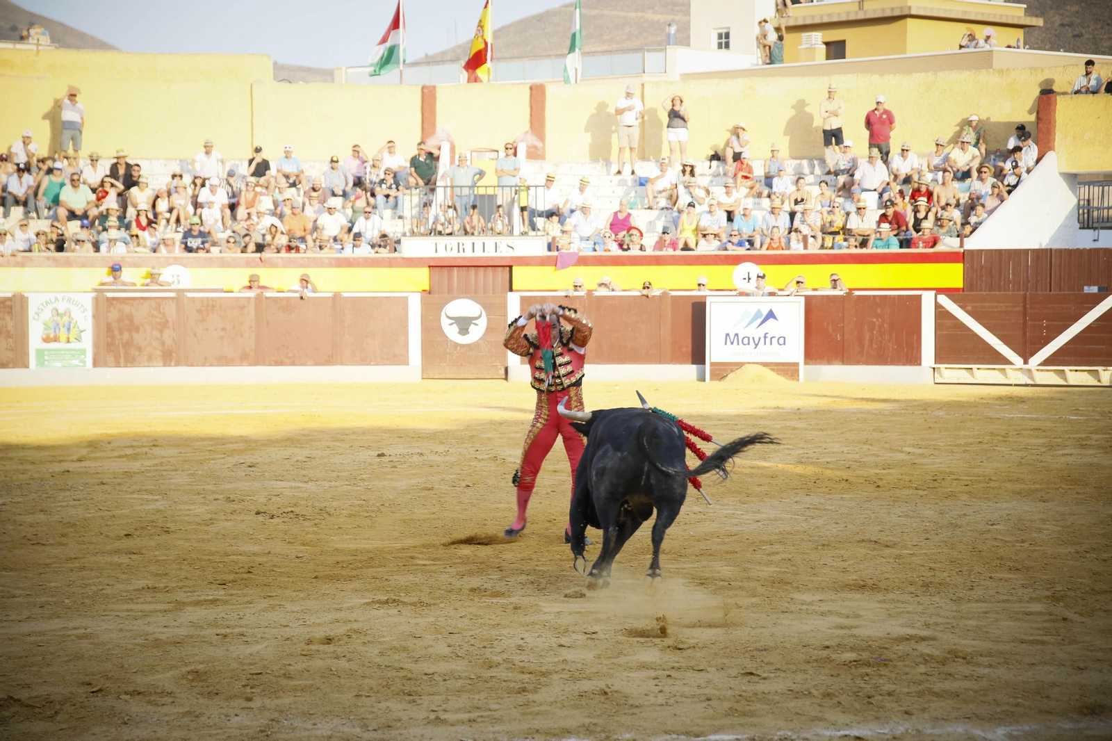 Corrida de toros Berja con un toro indultado, en imágenes