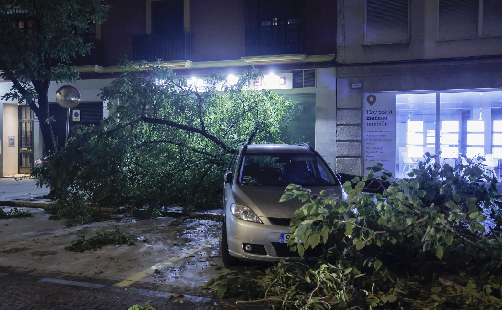 Los efectos de la borrasca 'Bernard' en Sevilla, todas las fotos