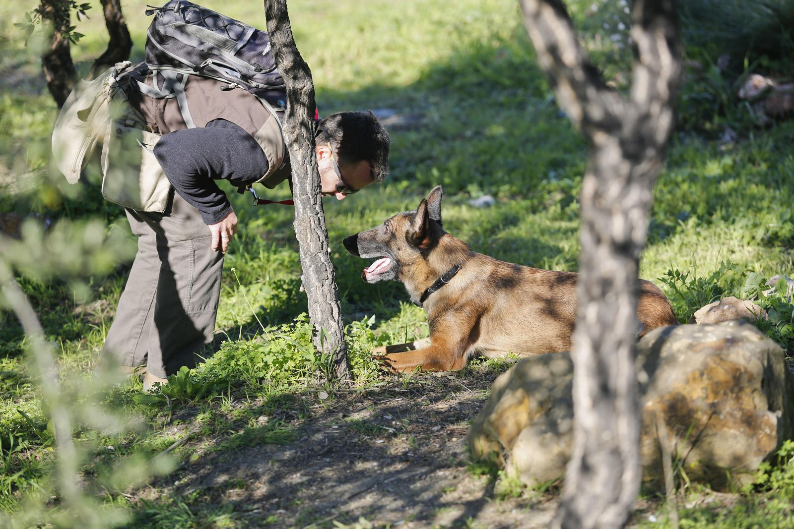 Un agente de medio ambiente detecta un cebo con ayuda de un perro especializado.