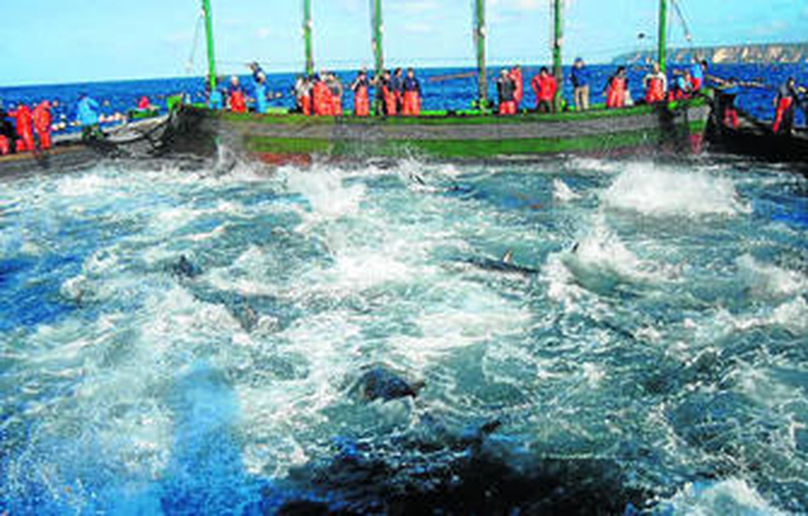 Una levantá de atunes en una almadraba frente a las costas de Cádiz.