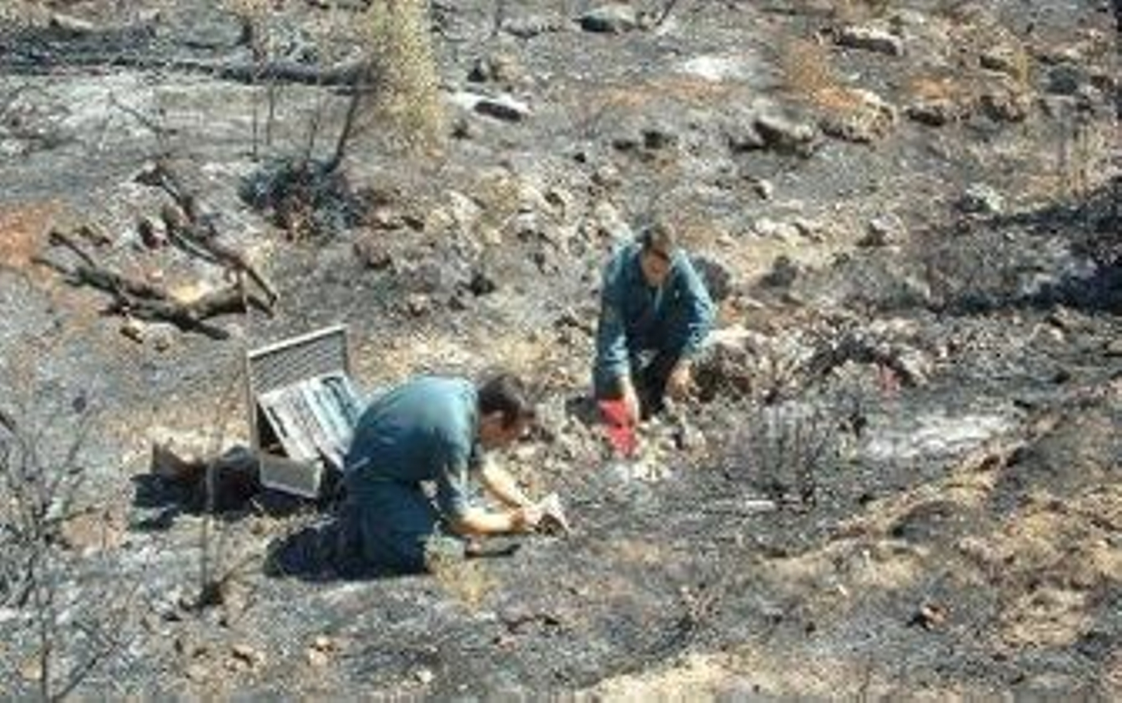 Los detectives de los incendios forestales