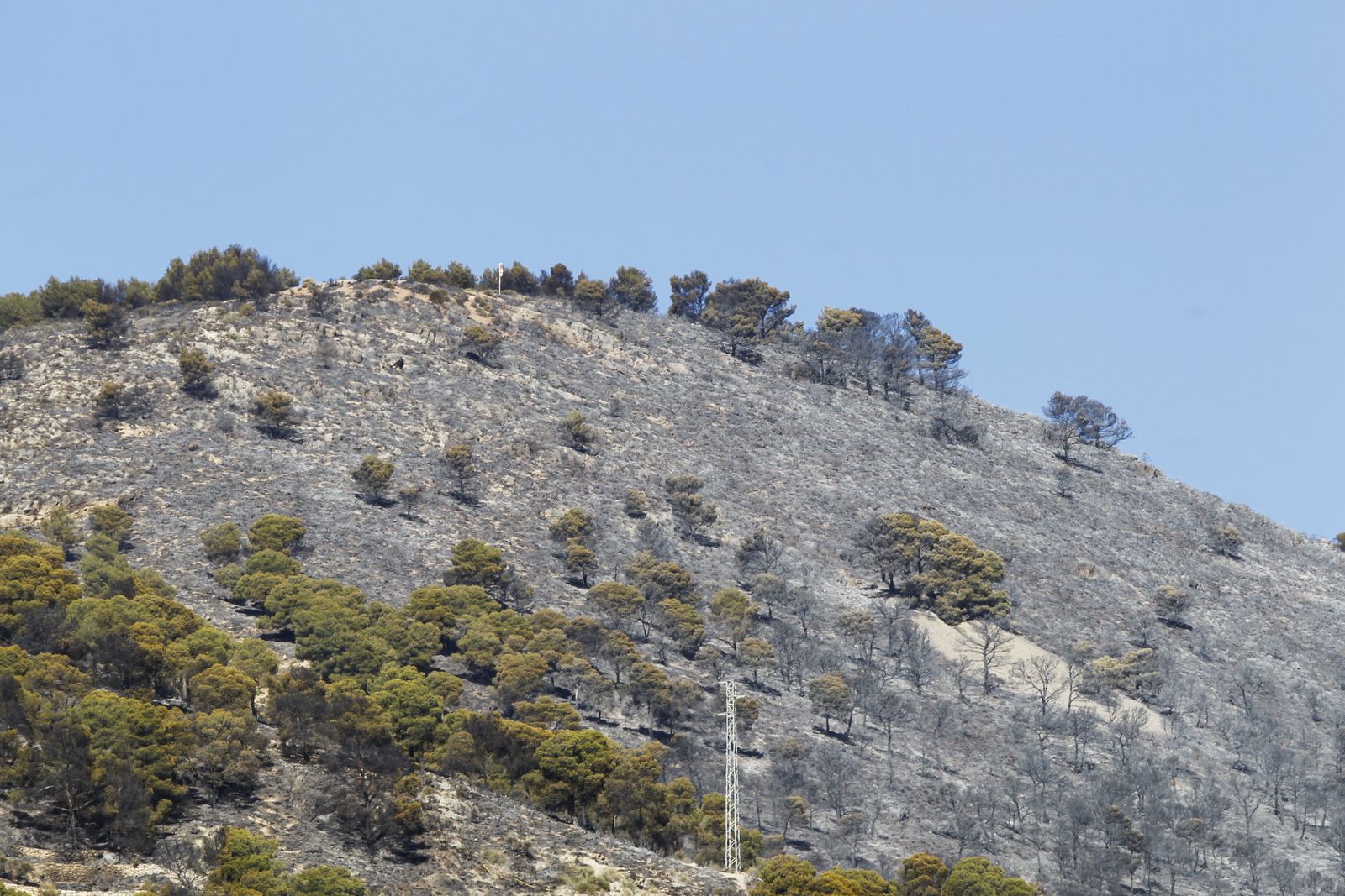 Fotogalería incendio forestal de Castala, Berja y Dalías.