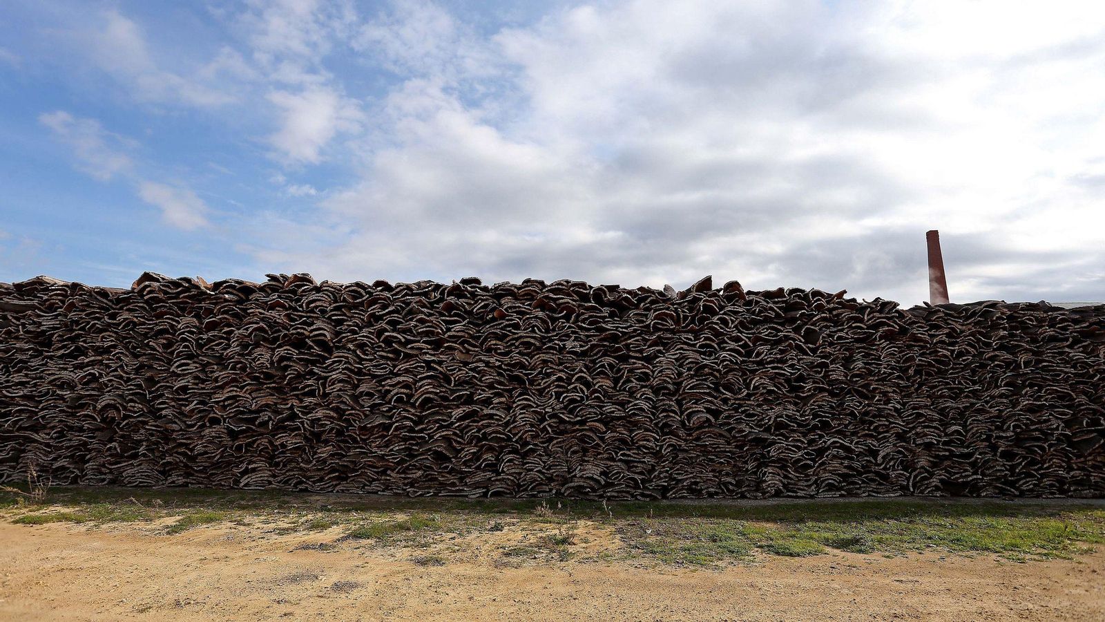 La Almoraima, Castellar