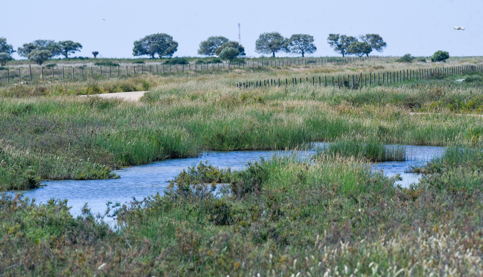 Imágenes de la finca Veta la Palma