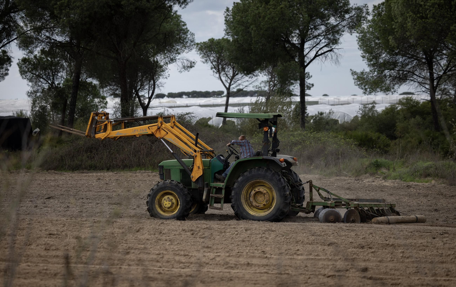 Las fotos de los cultivos en Doñana después del acuerdo sobre la regulación de regadios