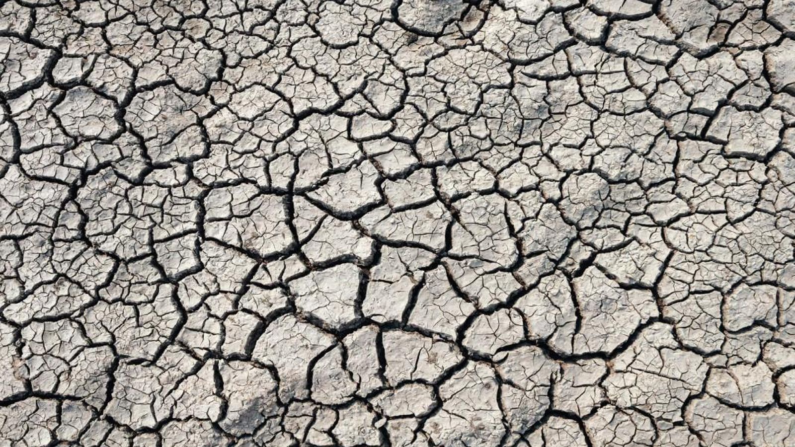 Suelo cuarteado por la sequía.