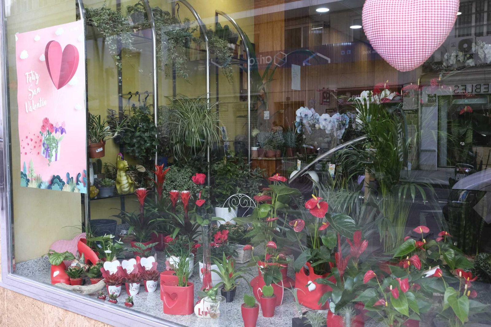 Escaparate especial de San Valentín en Suministros Tripiana en estos días.