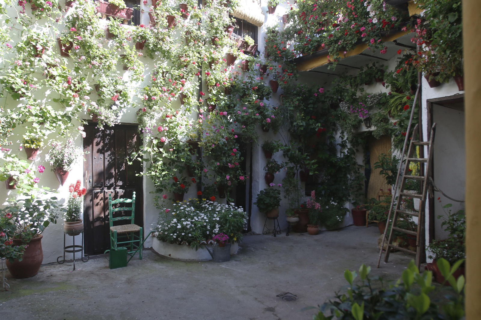 Las fotos del patio de San Basilio, 14 en tiempos de crisis
