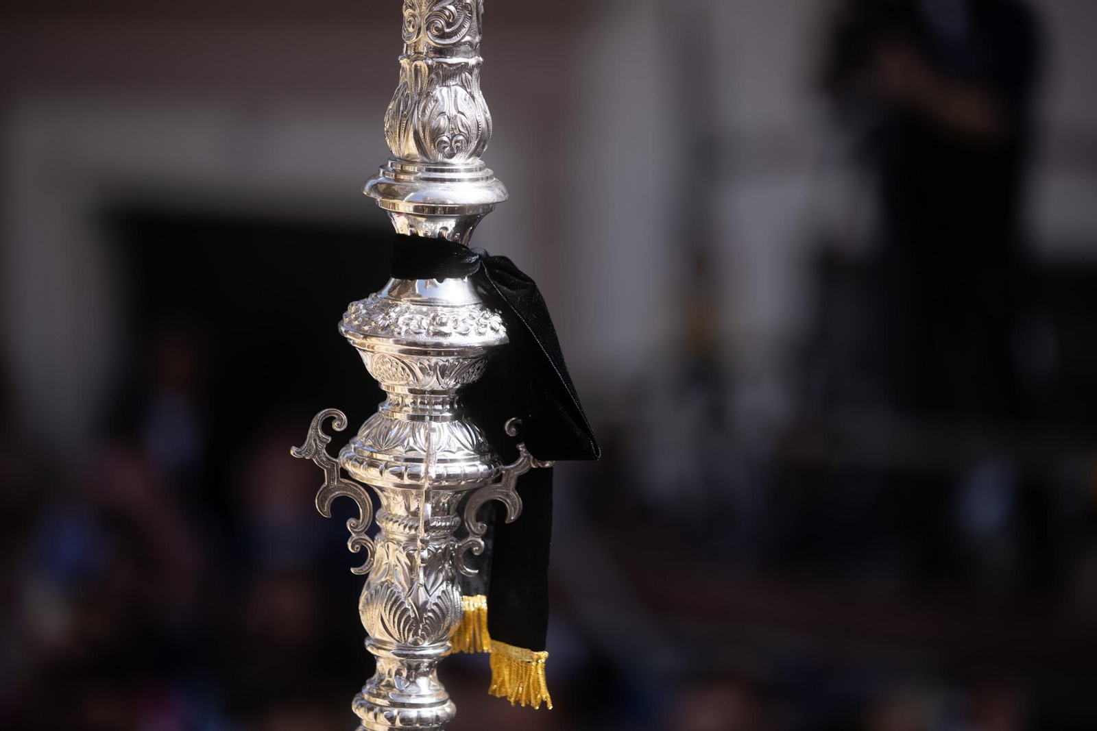 Imágenes del Domingo de Ramos: Hermandad de la Borriquita