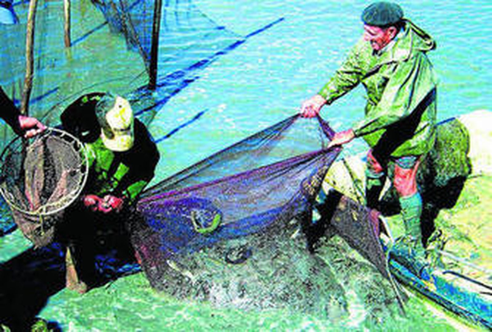 Un baño de arte y ciencia