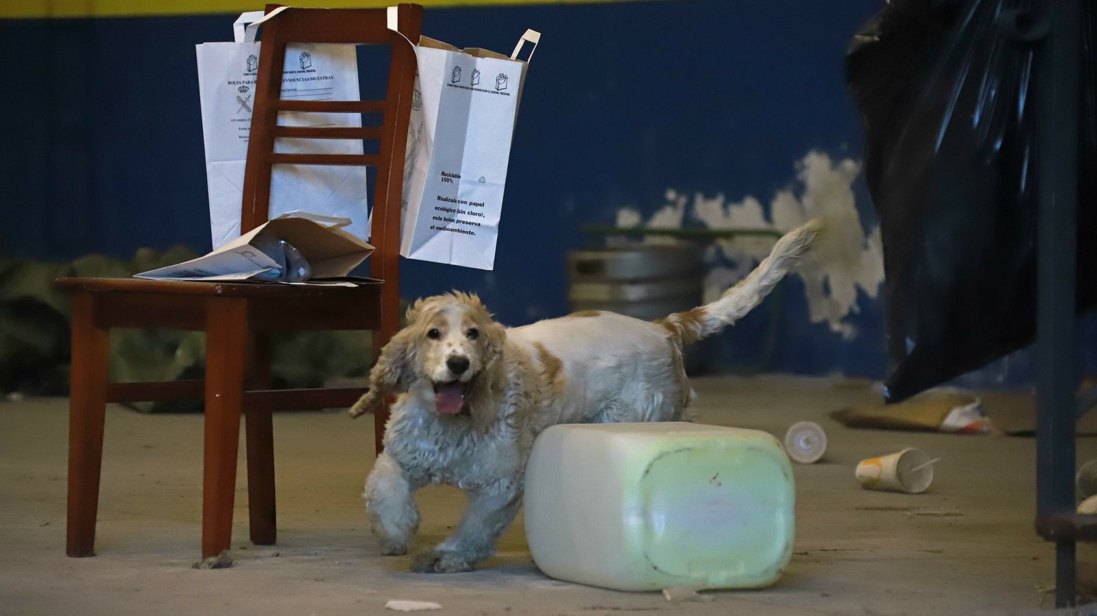 Las mejores fotos de la Operación Hélice en el Campo de Gibraltar