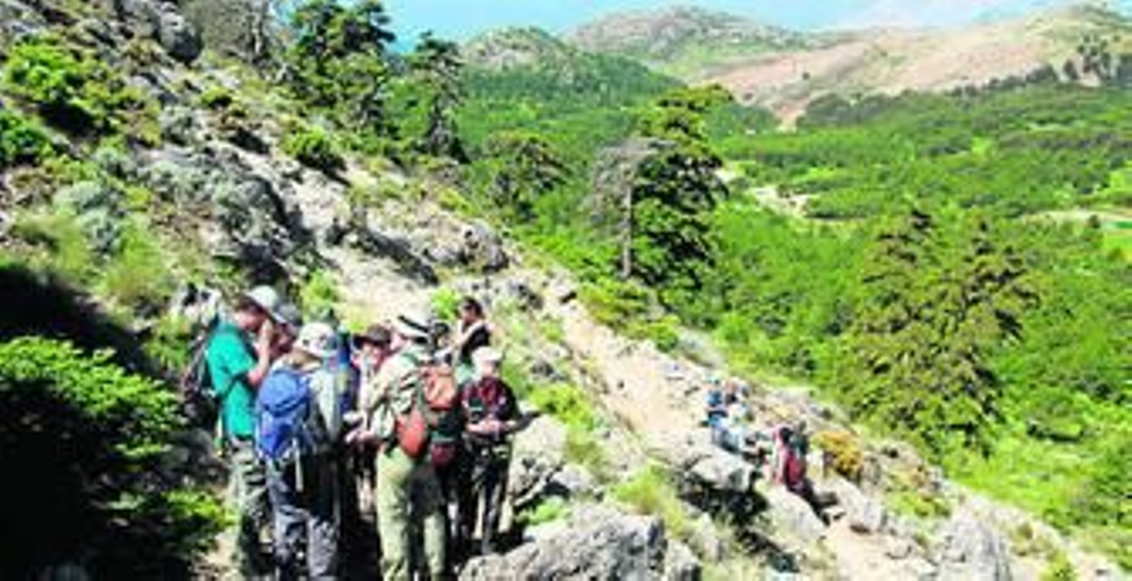 El grupo de investigadores que se ha reunido en Ronda.