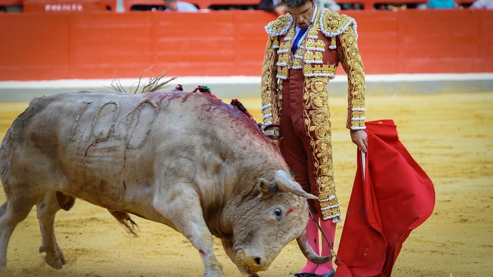 Foto de Balta que le supuso el Premio Nacional de Fotogrrafía Taurina.