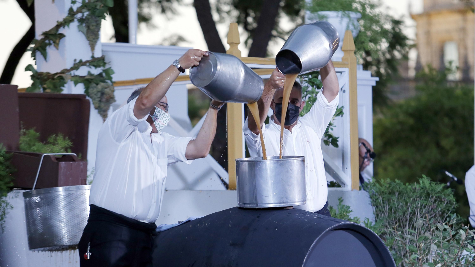 Imágenes de la Pisa de la Uva en la Alameda Vieja