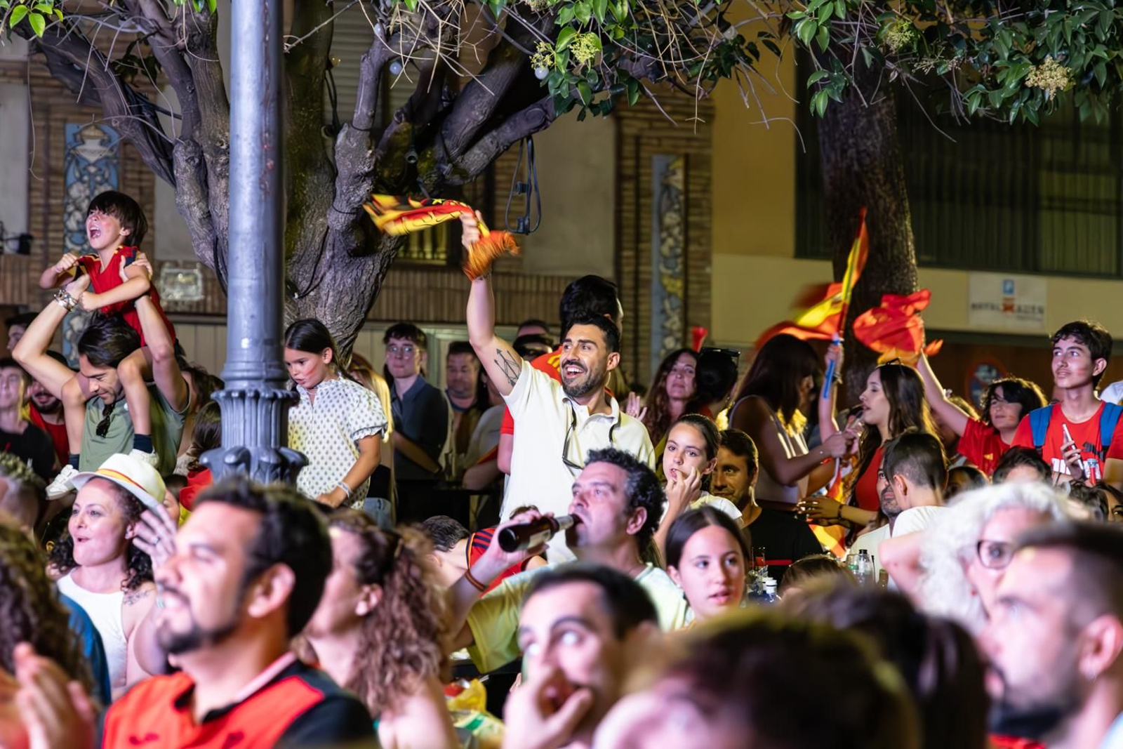 La euforia jiennense por la victoria de España, imágenes