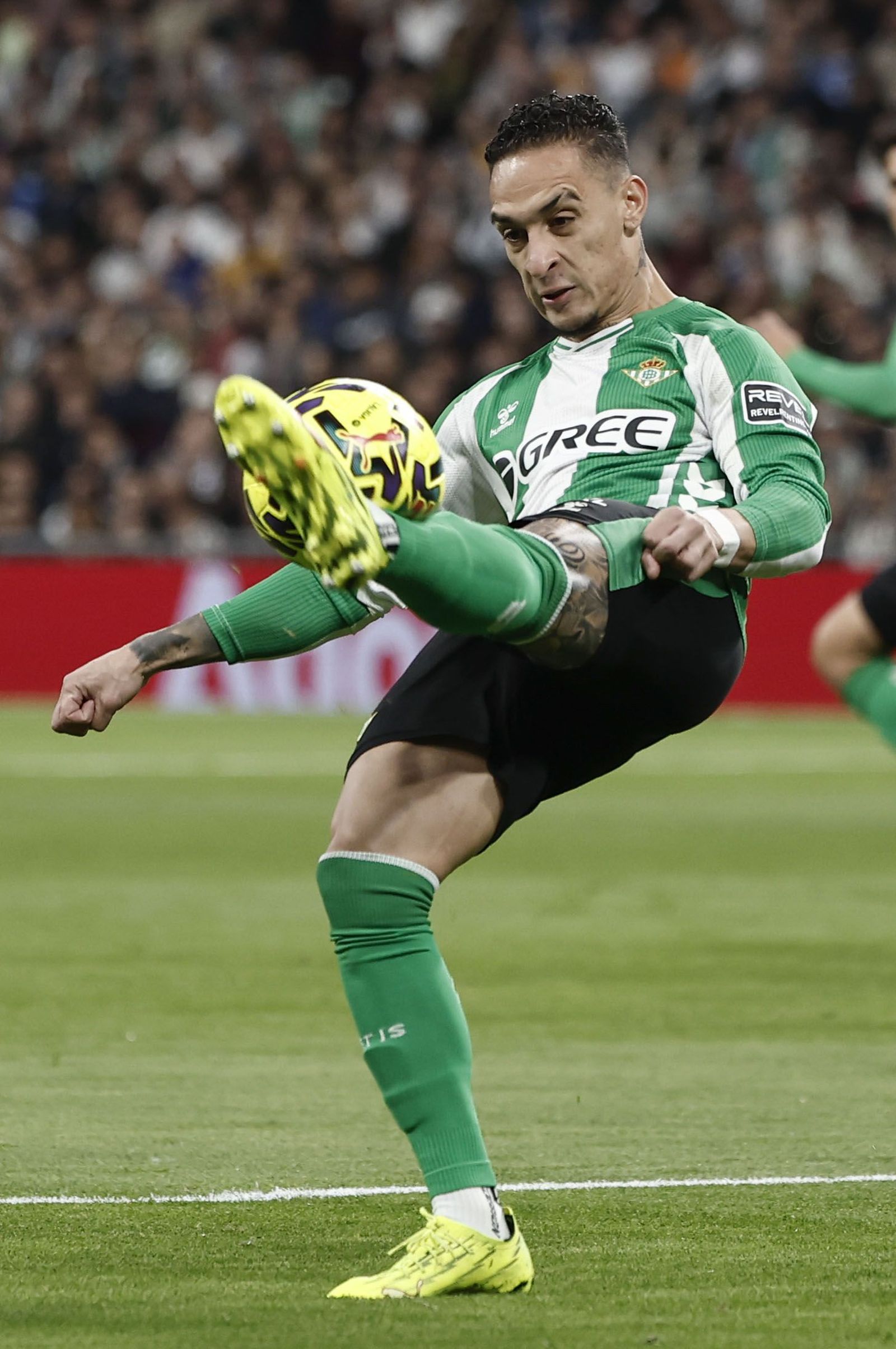 Las fotos del Real Madrid-Betis
