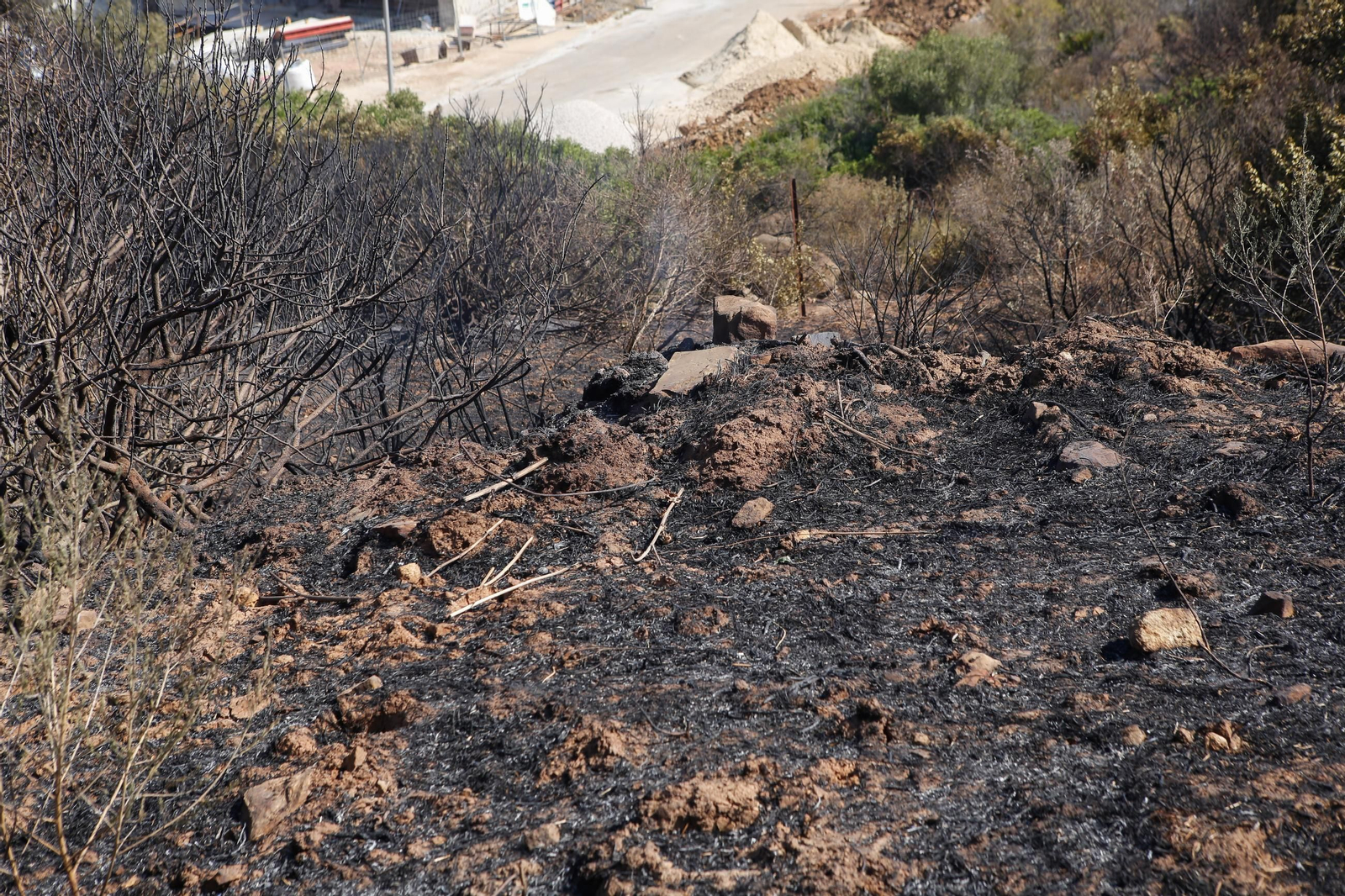 Las fotos de los efectos del incendio forestal en la Sierra de la Plata y Atlanterra, en Tarifa
