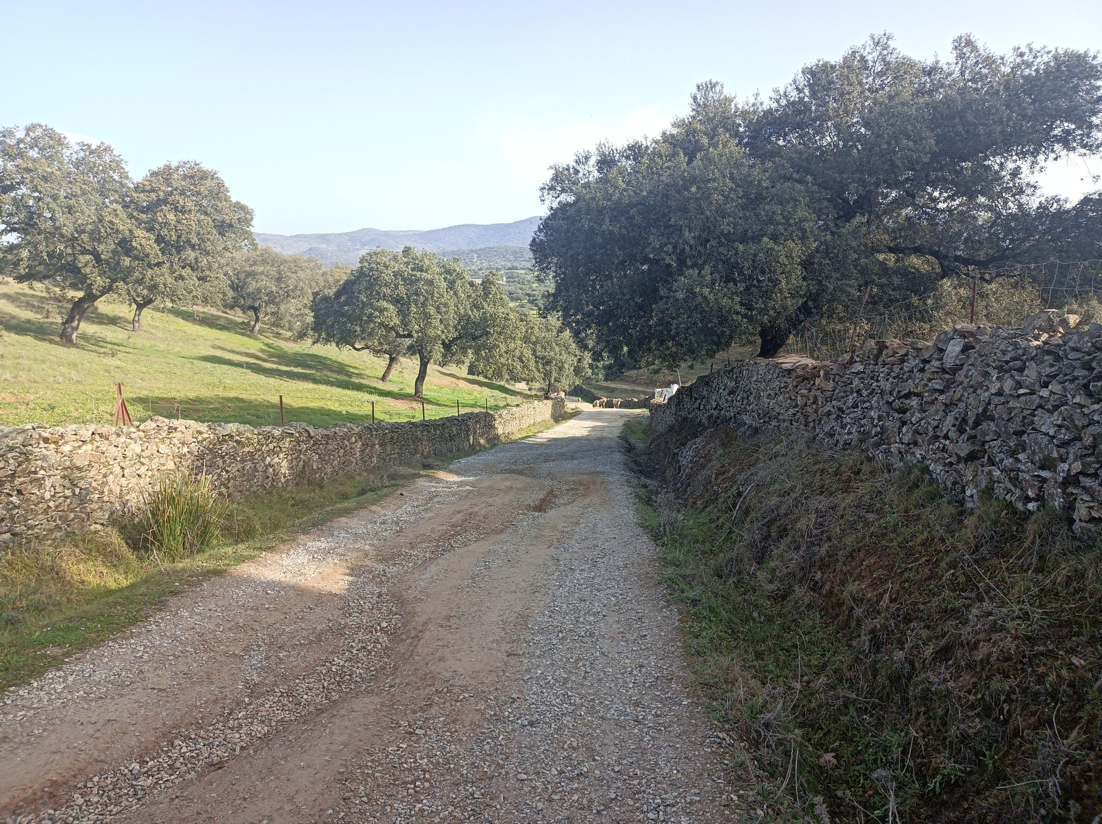 Fotos de la georruta de La Lobera