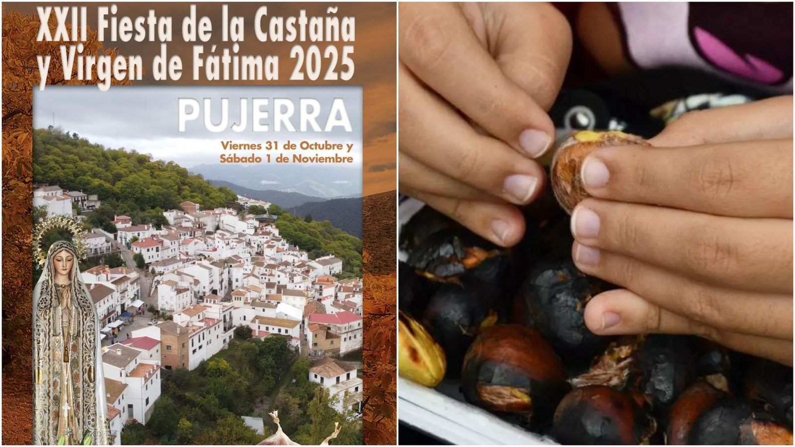 El cartel de la Fiesta de la Castaña de Pujerra. El cartel de la Fiesta de la Castaña de Pujerra.