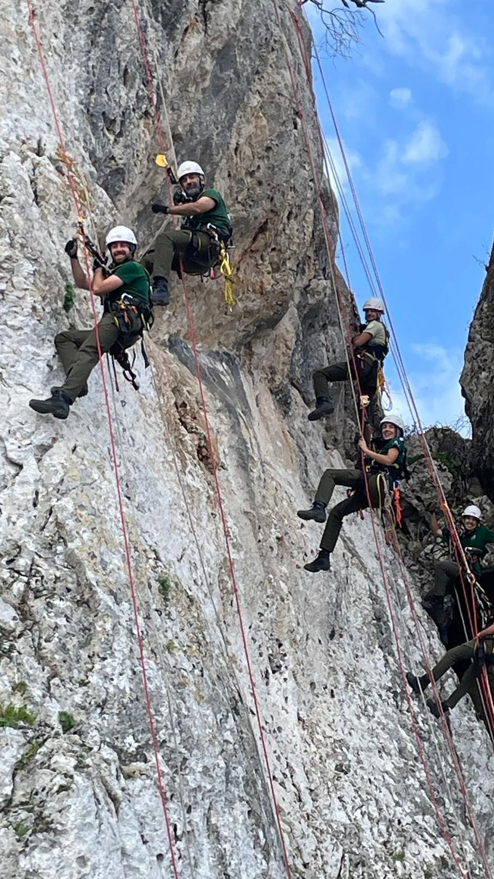 Unidad vertical de agentes medioambientales.