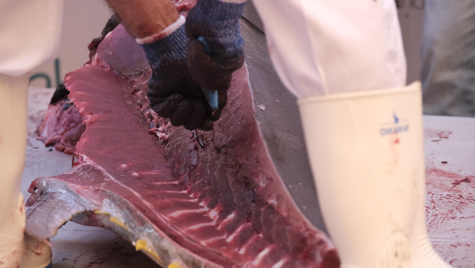 Jornadas del ronqueo del atún de almadraba en el Espacio Gastronómico Tony García, en Almería
