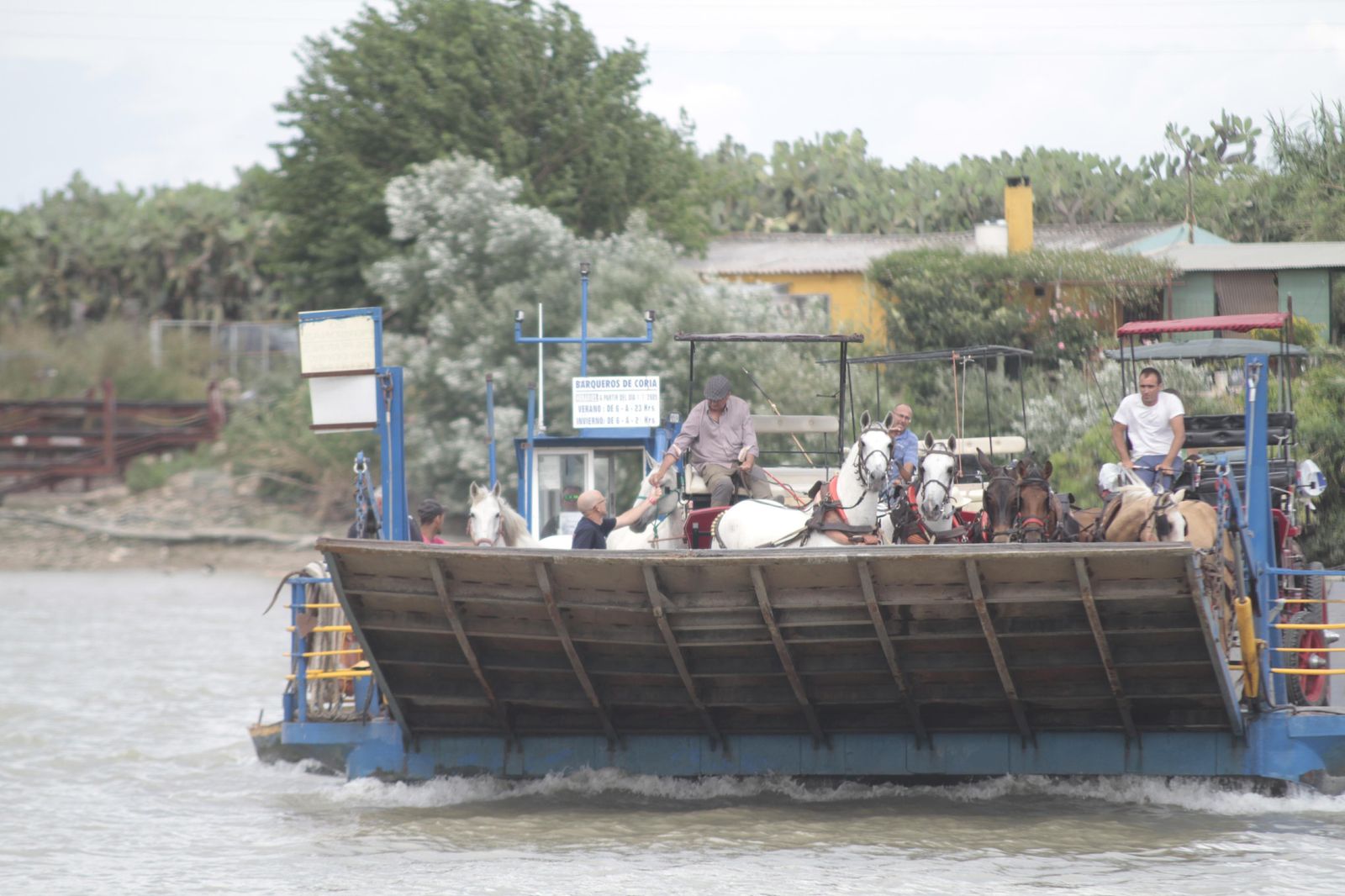 Hermandades cruzando el río Guadalquivir por Coria, en imágenes