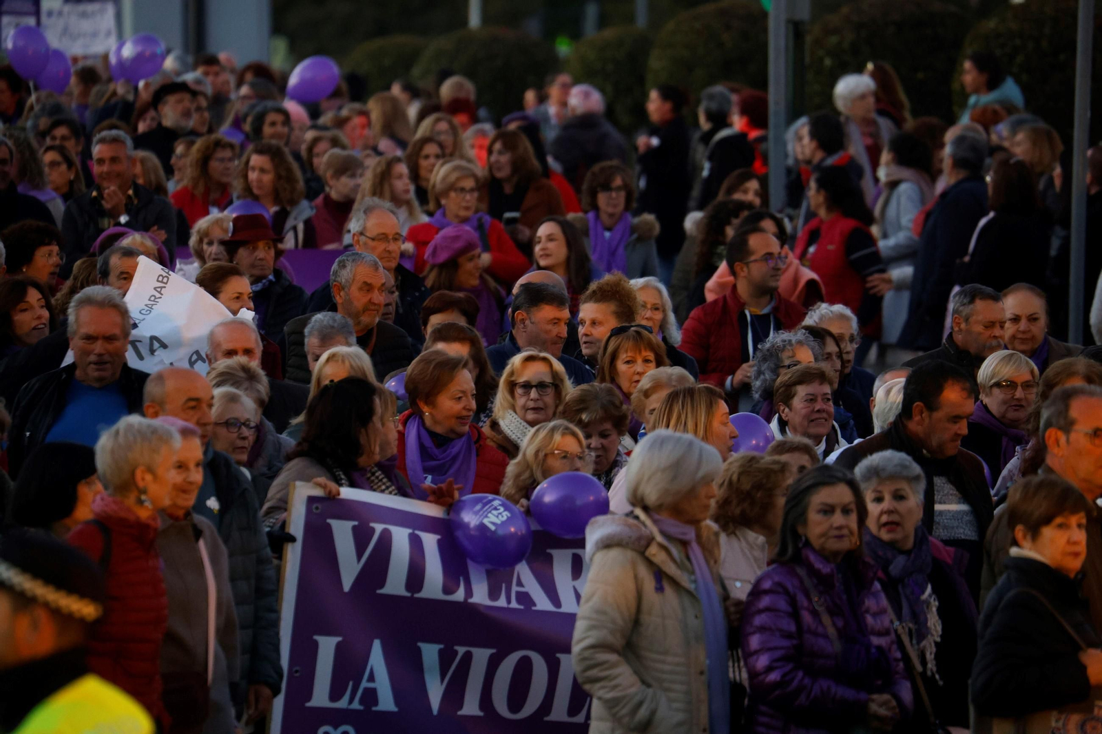 La manifestación del 25N en Córdoba