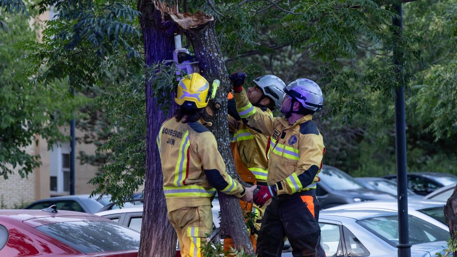 Un día junto a los bomberos de Jaén