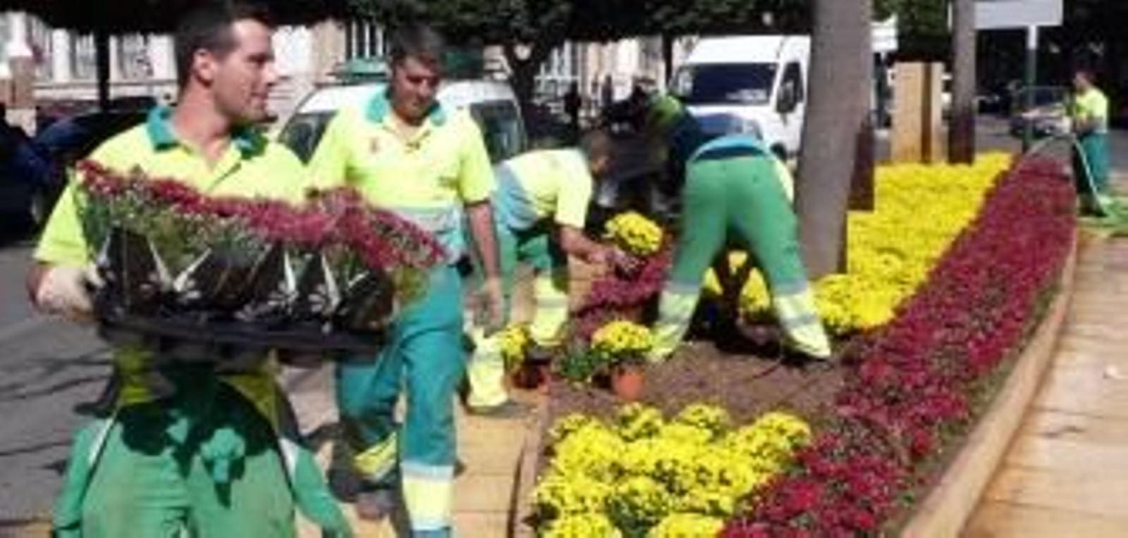 Jardineros del servicio de Parques y Jardines se forman en arbolado urbano y diseño de jardines públicos